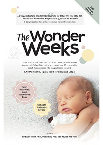 Recommended Books: The Wonder Weeks
